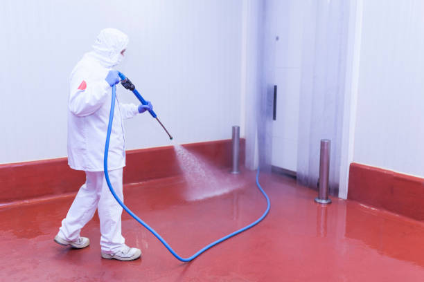 Best Heavy Equipment Washing  in Jones Valley, CA